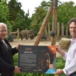 Reiss-Engelhorn-Museen und Zoo kooperieren bei „Eiszeit-Safari“