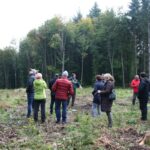 Waldbegehung des Leimener Gemeinderates - Klimastabilität geht vor Rentabilität