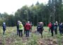 Waldbegehung des Leimener Gemeinderates – Klimastabilität geht vor Rentabilität