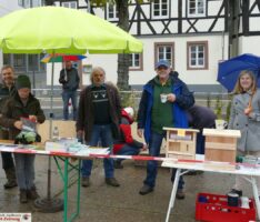 Aktionstag naturnaher Garten in Leimen – Bienenfreundliche Gärten und Gehölze