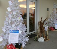 Luna-Wünschebäume im Weingut Adam Müller – Glückliche Weihnachten verschenken