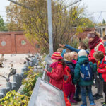 Zoo: Winter-Programm für Tüftler, Forscher & Tierfreunde