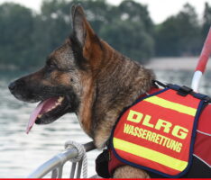 Die Rettungshundestaffel trauert um ein langjähriges Mitglied