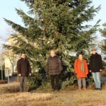 Haus & Grund Leimen spendete 500,- € für Kreisel-Weihnachtsbaum