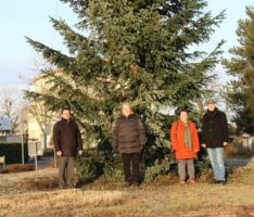 Haus & Grund Leimen spendete 500,- € für Kreisel-Weihnachtsbaum