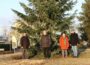 Haus & Grund Leimen spendete 500,- € für Kreisel-Weihnachtsbaum