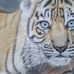 Für den guten Zweck - </br>Versteigerung einer Tiger-Zeichnung im Zoo
