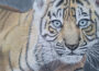 Für den guten Zweck – </br>Versteigerung einer Tiger-Zeichnung im Zoo