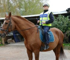Neue Reiterstaffel der Leimener Stadtpolizei: Für Klima- und Bevölkerungsschutz