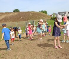 „Große Mühllach“ Sandhausen: Blühende Vielfalt und ein Heim für Insekten geschaffen