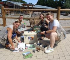 Gefährdete Nutztierrassen mit dem Nutztierkoffer im Zoo Heidelberg erleben