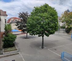 Der Entwurf des neuen Schulhofs – Turmschule soll mehr Platz auf drei Ebenen erhalten