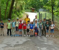 Mit Naturpark-Rangerin Anita Kühner und den Freien Wählern auf Walderkundung