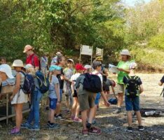 Ferienprogramm „Zeitreise durch die Erdgeschichte“ im Nusslocher Steinbruch