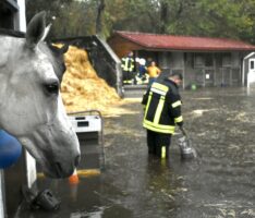 Gewitter mit Starkregen am Freitagabend – </br>Etliche Feuerwehreinsätze in der Region
