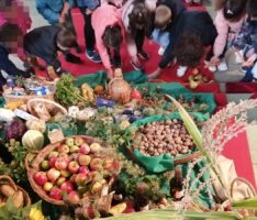 Sankt Mauritius Kindergarten gestaltet Ernte-Dank-Altar in der Herz-Jesu-Kirche