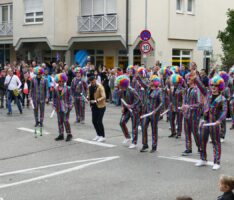 Wollt Ihr den Sandhäuser Kerweumzug als Video sehen? Bitte um Musikvorschläge!