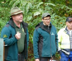 Diljemer Wald im Zeichen des Klimawandels: Auf dem Weg zum mediterranen Mischwald