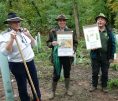 Aufforstung durch fliegenden Fachmann – Bevölkerung um Mithilfe gebeten