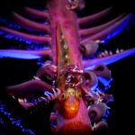 Abtauchen in das Leben unter Wasser - Faszinierende Foto-Ausstellung im Zoo
