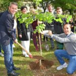 Turmschüler schaffen Bleibendes für Leimen und pflanzten „Jahrgangsbäume“