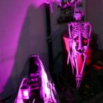 Geballtes Halloween-Grauen: Leichen, Geister, Grusel - Süßes und Saures