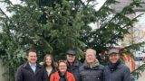 Haus und Grund sponsort Tannenbaum auf dem Georgiplatz