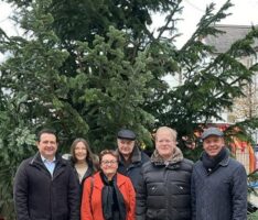 Haus und Grund sponsort Tannenbaum auf dem Georgiplatz
