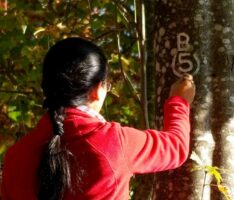 Ehrenamtliche Wegewarte markieren über 3.000 Kilometer Rundwanderwege