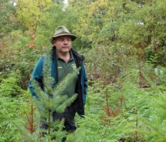 Kahlschlag am Lingentaler Waldparkplatz – Eschensterben durch Hallimasch-Pilz