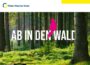 „Ab in den Wald“  Forstamt veröffentlicht Programm mit vielfältigen Angeboten