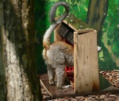 Frühjahrsputz für Tiere im Zoo: </br>Firma unterstützt Erfindergeist der Tierpfleger