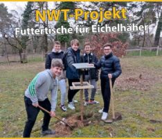 Friedrich-Ebert-Gymnasium: NWT-Projekt Futtertische für Eichelhäher