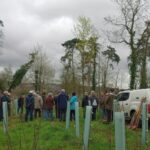 Stadtteilverein Dilje half beim Aufforsten: 150 Klimawandel-resistente Bäume gepflanzt