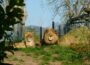 Neues Frühlingsangebot der Zoo-Akademie – Ein Abend im Zoo Heidelberg