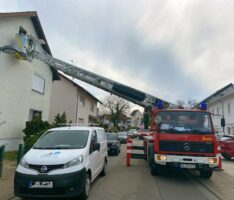 Feuerwehr-Drehleitereinsatz in Nußloch: Verletzten aus Obergeschoß geholt