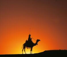 Mythos Ägypten, eine faszinierende Zeitreise: Ausstellung des Kunstvereins ab 6. Mai