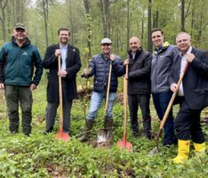 Volksbank Kraichgau: Baumpflanzung anstatt Kleinpräsente zu runden Geburtstagen