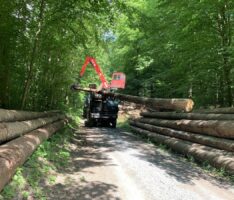 Starker Einsatz für den Waldschutz: Holzentrindung gegen Borkenkäfer