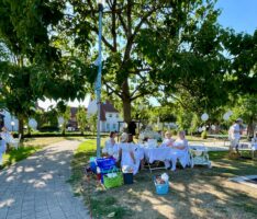 „Nußloch intakt“ veranstaltet zweites „Dîner en blanc“ am Sonntag, dem 30. Juli