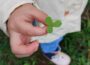 Kindertagespflege Drachenhort Nussloch – Eine Oase für Ihre kleinen Schätze!