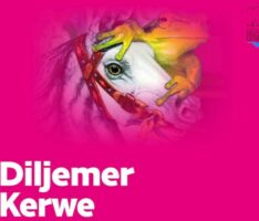 Diljemer Kerwe vom 9. bis 11. September – Das vollständige Programm