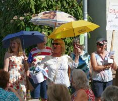 Diljemer Kerwe: </be>Die Fotostrecken