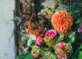 Der saisonale Garten: Floristische Inspiration für jede Jahreszeit