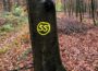 Bedeutung von Markierungen an Bäumen im Nußlocher Wald