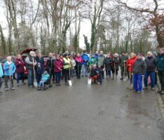Aktion „Bäume für Yannik“ fortgesetzt:</br>300 Elsbeeren in St. Ilgen gepflanzt