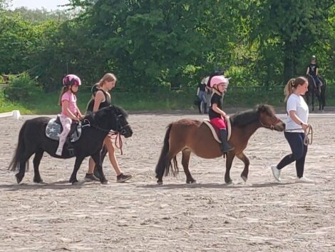 Pferde live erleben – 1. Mai beim Reitsportverein Leimen