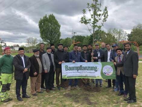 Baumspende der Ahmadiyya Muslim Gemeinde – Basket 2.0 bekommt einen Ahorn