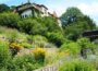 Workshop „Naturnaher Garten“ am 8. Juni in Heidelberg