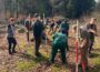 Wald mit vielen verschiedenen Baumarten kann Klimaveränderungen besser verkraften